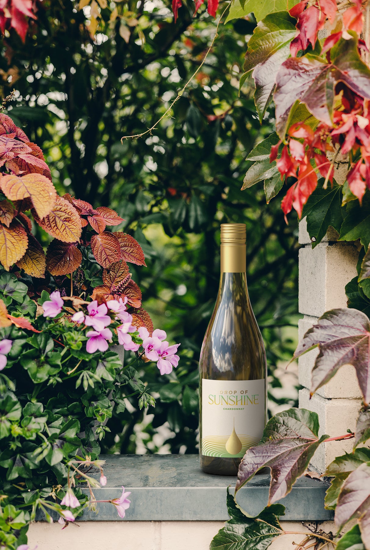 Drop of Sunshine Chardonnay in the garden